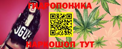 прущие грибы Старая Купавна