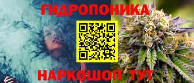 прущие грибы Старая Купавна