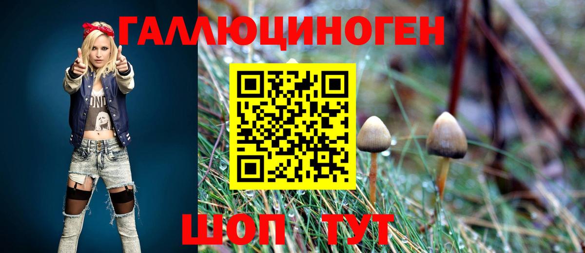 Галлюциногенные грибы MAGIC MUSHROOMS  Вход с VPN  сколько стоит  Полевской 